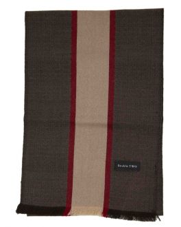Brown & Red Striped Scarf